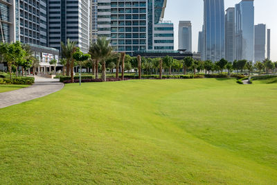 Park by buildings in city against sky