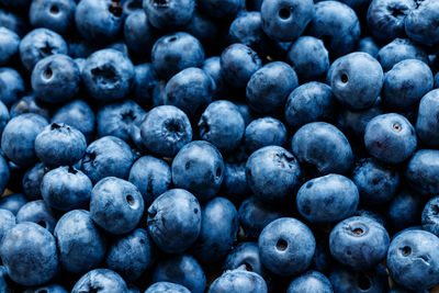 Full frame shot of blueberries
