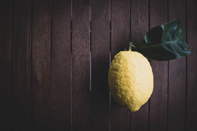 A different kind of lemon