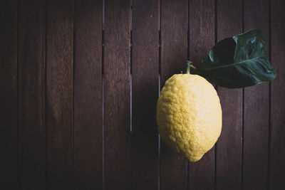 High angle view of lemon on table