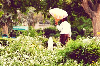 Man holding umbrella in farm