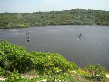 View of trees in water