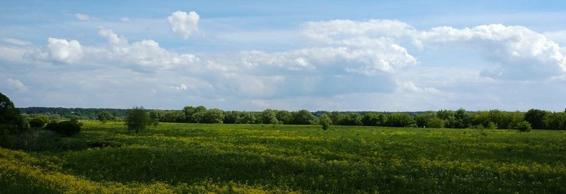 Panoramic view of landscape against sky