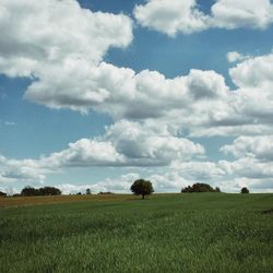 Scenic view of grassy field against cloudy sky