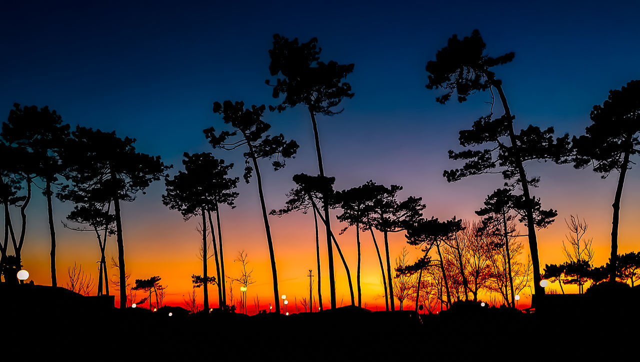 SCENIC VIEW OF SILHOUETTE TREES AGAINST SKY DURING SUNSET