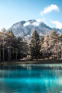 Swimming pool by trees against sky