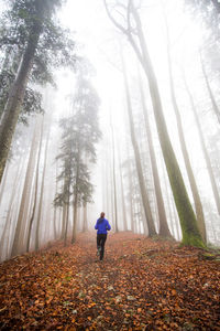 Full length of woman jogging in forest during autumn