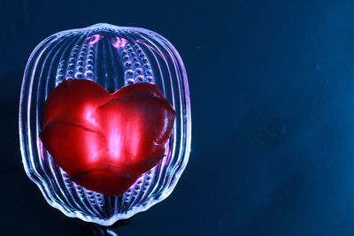 Close-up of heart shape against black background