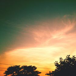 Low angle view of trees against cloudy sky