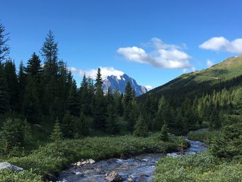 Scenic view of forest and mountains against blue sky