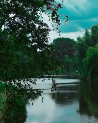 Scenic view of lake by trees against sky