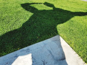 High angle view of shadow on footpath