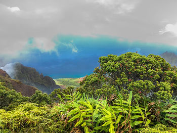 Scenic view of tree mountains against sky
