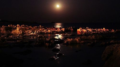 Reflection of trees in water at night