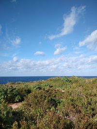 Scenic view of sea against sky