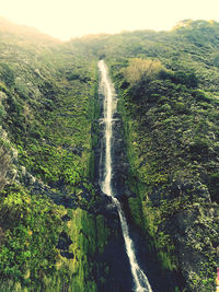 Scenic view of waterfall in forest