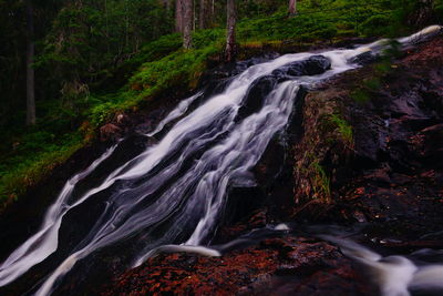 Scenic view of waterfall in forest