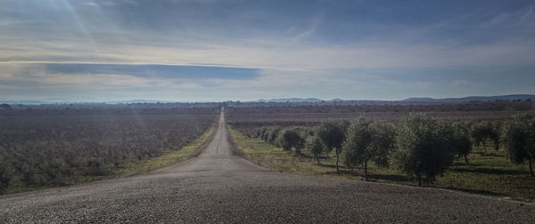 Road amidst landscape against sky