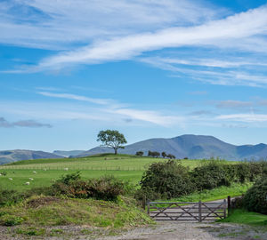 Scenic view of field against cloudy sky