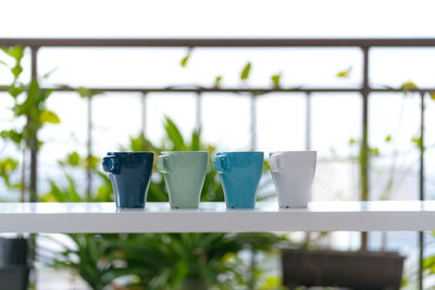 Close-up of potted plant on window sill