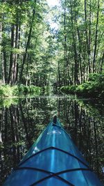 Road amidst trees in forest