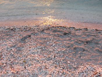 High angle view of wet road during sunset