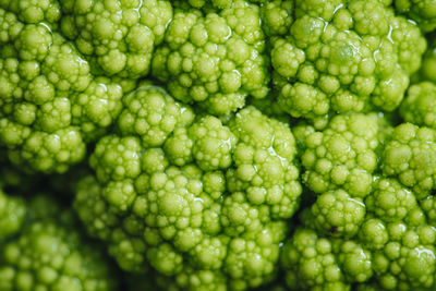 Full frame shot of green fruit