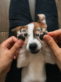 Midsection of person holding dog