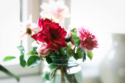 Close-up of red flowers in vase