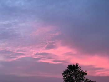 Low angle view of silhouette tree against sky during sunset