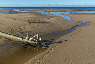 Driftwood on shore at beach against sky