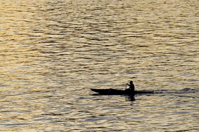 Silhouette man in water