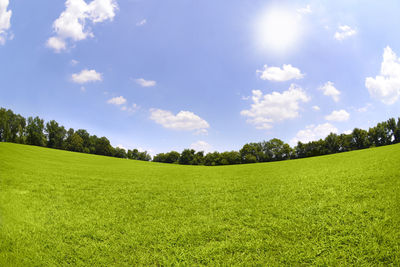 Scenic view of grassy field against sky 