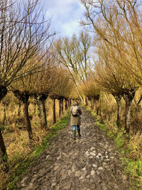 Rear view of woman walking by plants against sky