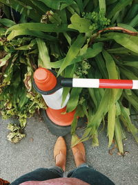 Low section of woman standing by plants