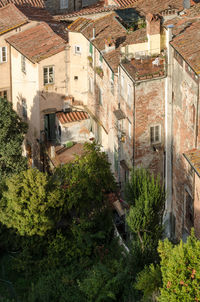 Houses and trees in village