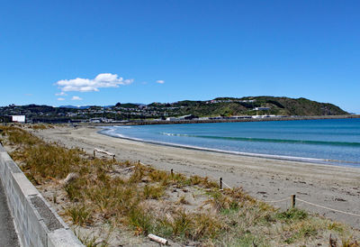 Scenic view of beach against clear blue sky