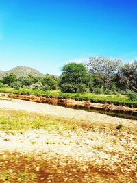 Scenic view of field against clear blue sky