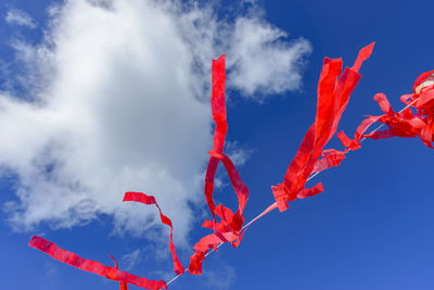 Red ribbons prepared for a religious festival in lavras novas, minas gerais swaying in the wind