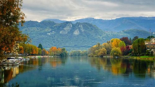 Scenic view of lake by trees against sky