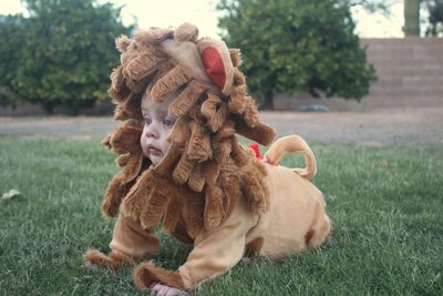 Cute baby girl wearing costume kneeling on land