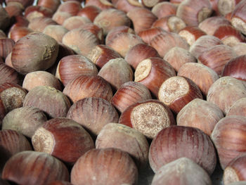 Autumn fruit . closeup of hazelnuts . food background