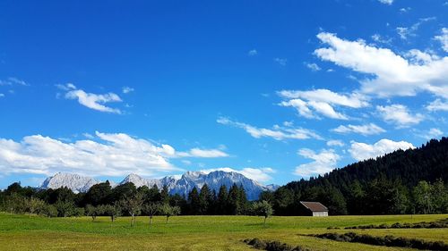 Scenic view of field against blue sky