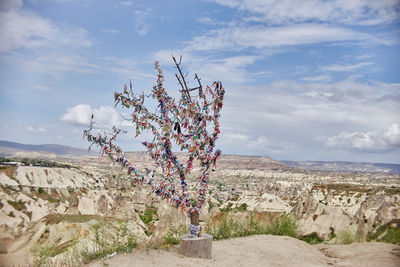 View of plant against cloudy sky