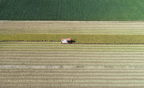 Scenic view of agricultural field
