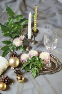 High angle view of potted plant on table