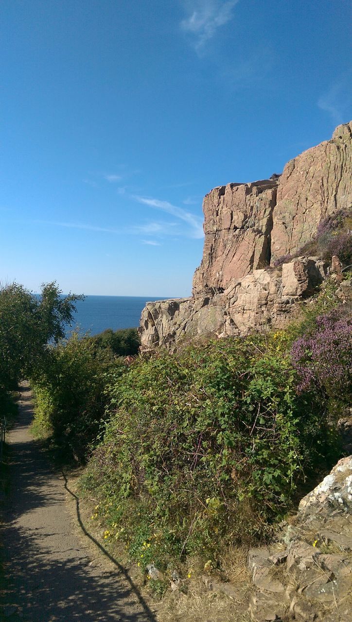 sea, sky, blue, tranquil scene, plant, tranquility, horizon over water, nature, scenics, beauty in nature, growth, grass, water, beach, landscape, sunlight, day, rock - object, cloud, outdoors