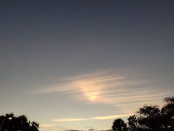 Low angle view of silhouette trees against sky during sunset