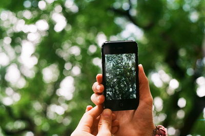 Cropped image of hand holding smart phone