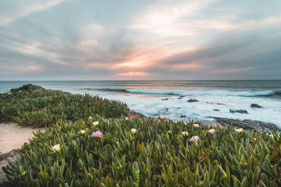 Scenic view of sea against sky during sunset